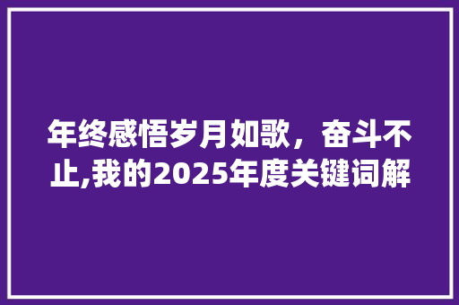 年终感悟岁月如歌，奋斗不止,我的2025年度关键词解读_年终感悟关键词优化