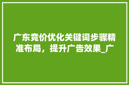 广东竞价优化关键词步骤精准布局，提升广告效果_广东竞价优化关键词