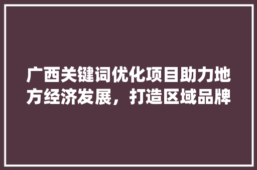 广西关键词优化项目助力地方经济发展，打造区域品牌新高度_广西关键词优化项目