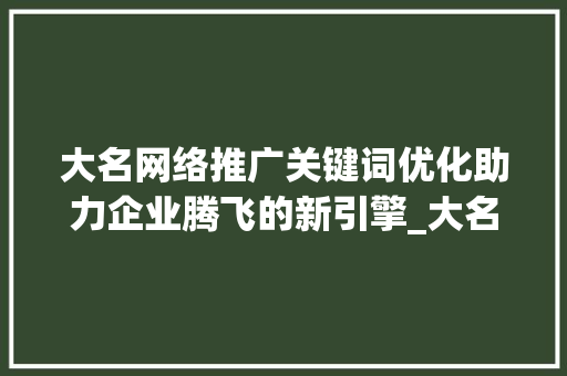 大名网络推广关键词优化助力企业腾飞的新引擎_大名网络推广关键词优化