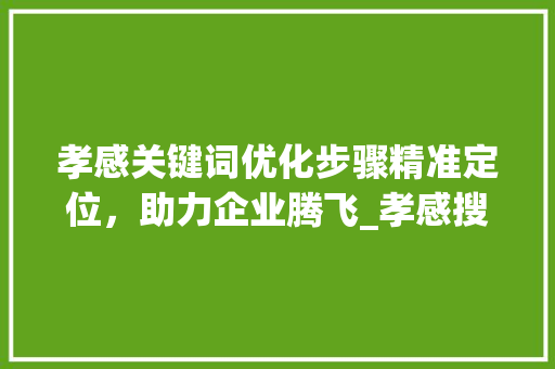孝感关键词优化步骤精准定位，助力企业腾飞_孝感搜索关键词优化方法