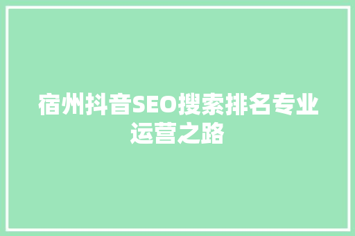 宿州抖音SEO搜索排名专业运营之路