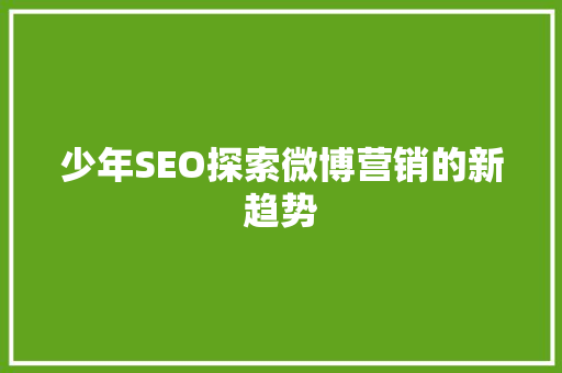 少年SEO探索微博营销的新趋势