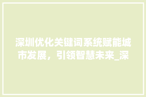 深圳优化关键词系统赋能城市发展，引领智慧未来_深圳优化关键词系统