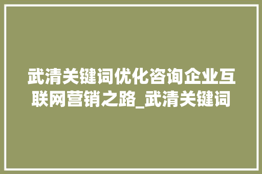 武清关键词优化咨询企业互联网营销之路_武清关键词优化咨询