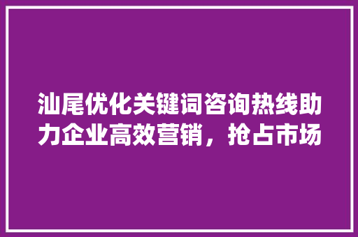 汕尾优化关键词咨询热线助力企业高效营销，抢占市场先机_汕尾优化关键词咨询热线