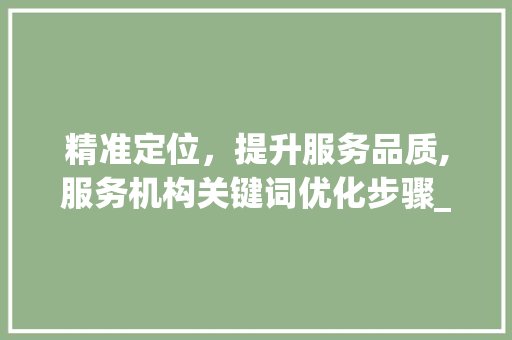 精准定位，提升服务品质,服务机构关键词优化步骤_关键词优化服务机构
