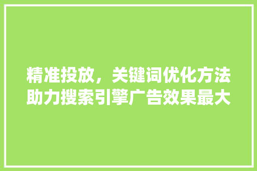 精准投放，关键词优化方法助力搜索引擎广告效果最大化_搜索投放关键词优化方法
