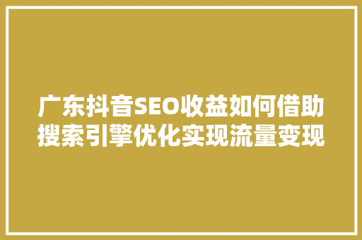 广东抖音SEO收益如何借助搜索引擎优化实现流量变现