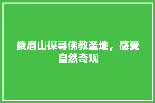 峨眉山探寻佛教圣地，感受自然奇观