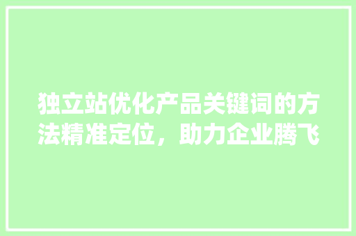 独立站优化产品关键词的方法精准定位，助力企业腾飞_独立站优化产品关键词