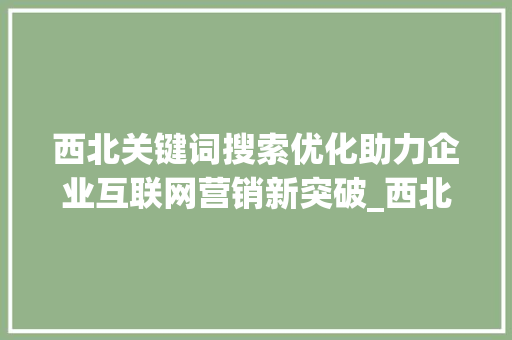 西北关键词搜索优化助力企业互联网营销新突破_西北关键词搜索优化公司