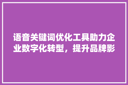 语音关键词优化工具助力企业数字化转型，提升品牌影响力_语音关键词优化工具
