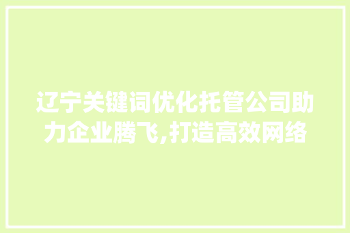 辽宁关键词优化托管公司助力企业腾飞,打造高效网络营销新步骤_辽宁关键词优化托管公司