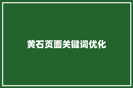 黄石页面关键词优化