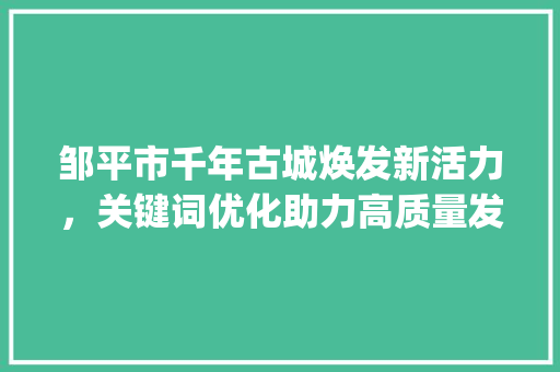 邹平市千年古城焕发新活力，关键词优化助力高质量发展_邹平网站关键词优化