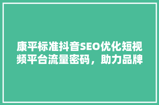 康平标准抖音SEO优化短视频平台流量密码，助力品牌崛起