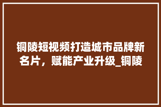 铜陵短视频打造城市品牌新名片，赋能产业升级_铜陵短视频关键词优化
