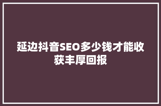 延边抖音SEO多少钱才能收获丰厚回报