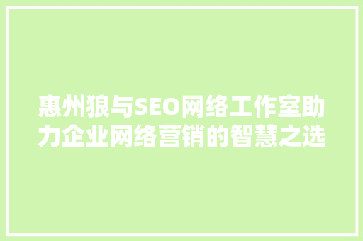 惠州狼与SEO网络工作室助力企业网络营销的智慧之选