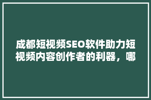 成都短视频SEO软件助力短视频内容创作者的利器，哪家公司更胜一筹