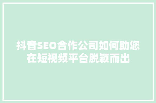 抖音SEO合作公司如何助您在短视频平台脱颖而出