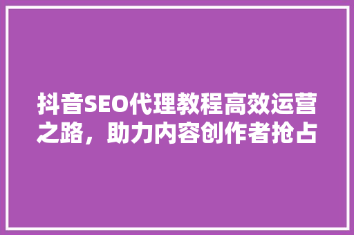 抖音SEO代理教程高效运营之路，助力内容创作者抢占流量高地