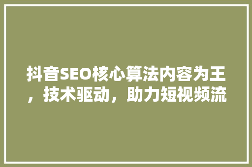 抖音SEO核心算法内容为王，技术驱动，助力短视频流量增长