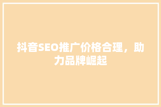 抖音SEO推广价格合理，助力品牌崛起