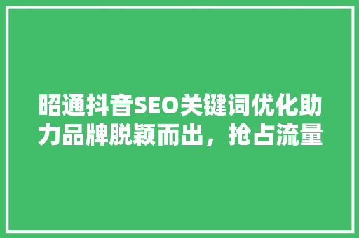 昭通抖音SEO关键词优化助力品牌脱颖而出，抢占流量红利