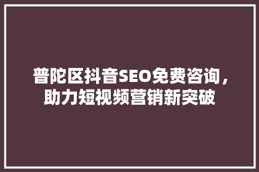 普陀区抖音SEO免费咨询，助力短视频营销新突破
