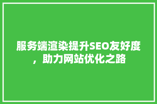 服务端渲染提升SEO友好度，助力网站优化之路