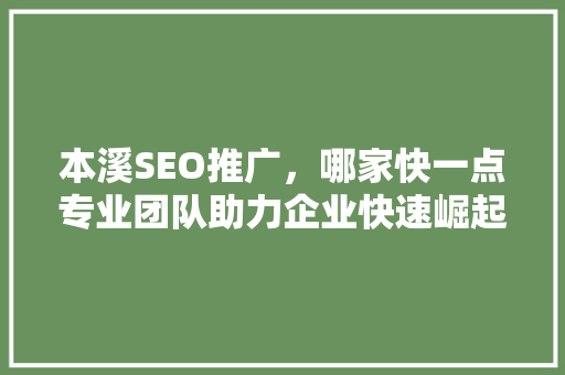 本溪SEO推广，哪家快一点专业团队助力企业快速崛起