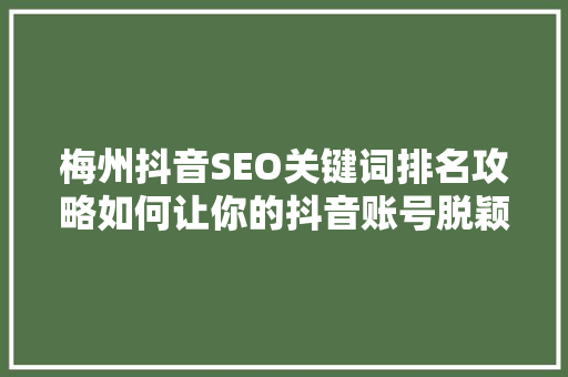 梅州抖音SEO关键词排名攻略如何让你的抖音账号脱颖而出