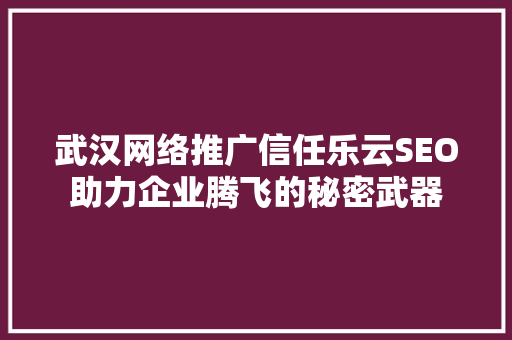 武汉网络推广信任乐云SEO助力企业腾飞的秘密武器