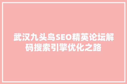 武汉九头鸟SEO精英论坛解码搜索引擎优化之路