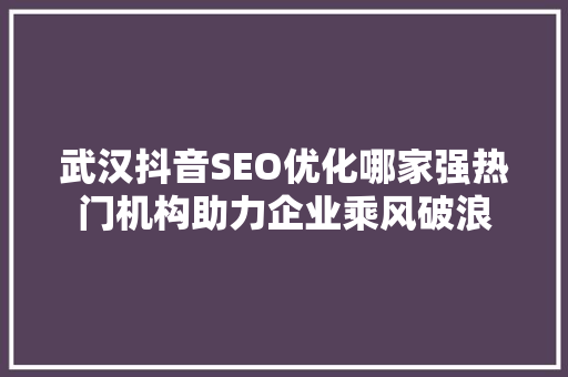 武汉抖音SEO优化哪家强热门机构助力企业乘风破浪