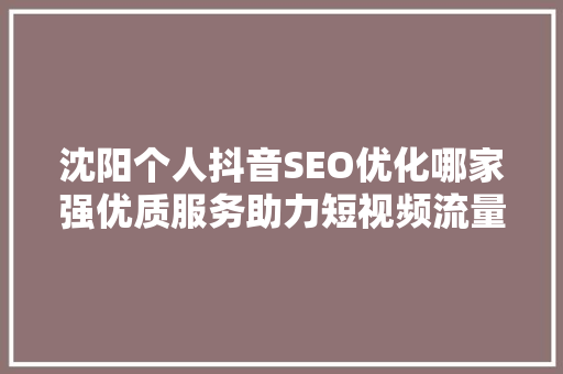 沈阳个人抖音SEO优化哪家强优质服务助力短视频流量腾飞