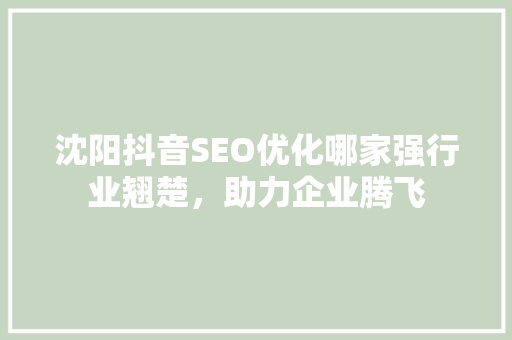 沈阳抖音SEO优化哪家强行业翘楚，助力企业腾飞