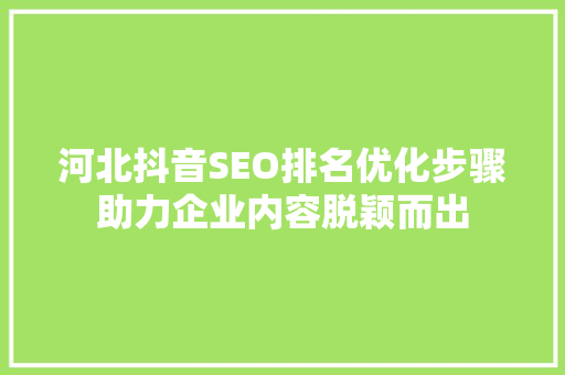 河北抖音SEO排名优化步骤助力企业内容脱颖而出