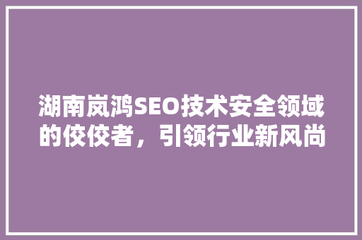 湖南岚鸿SEO技术安全领域的佼佼者，引领行业新风尚