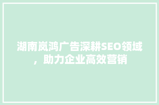 湖南岚鸿广告深耕SEO领域，助力企业高效营销