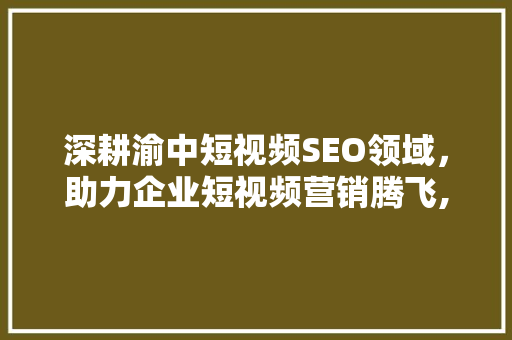 深耕渝中短视频SEO领域，助力企业短视频营销腾飞,探访渝中短视频SEO公司