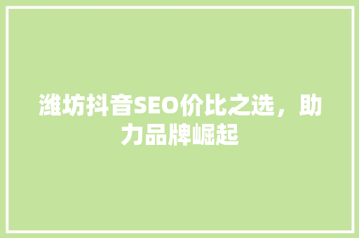 潍坊抖音SEO价比之选，助力品牌崛起