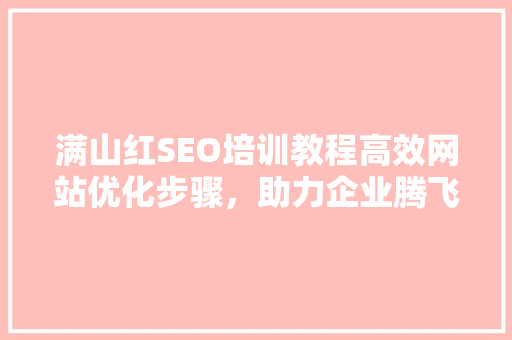满山红SEO培训教程高效网站优化步骤，助力企业腾飞