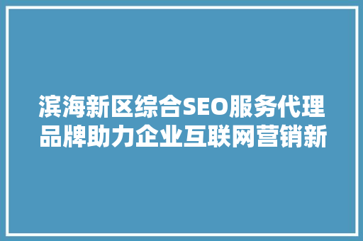 滨海新区综合SEO服务代理品牌助力企业互联网营销新篇章
