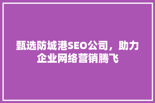 甄选防城港SEO公司，助力企业网络营销腾飞