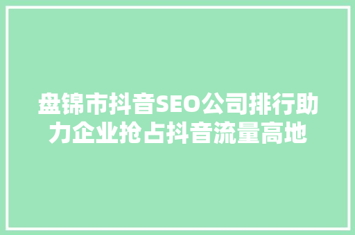 盘锦市抖音SEO公司排行助力企业抢占抖音流量高地