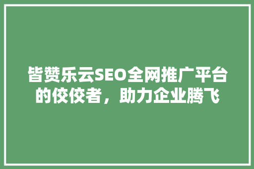 皆赞乐云SEO全网推广平台的佼佼者，助力企业腾飞