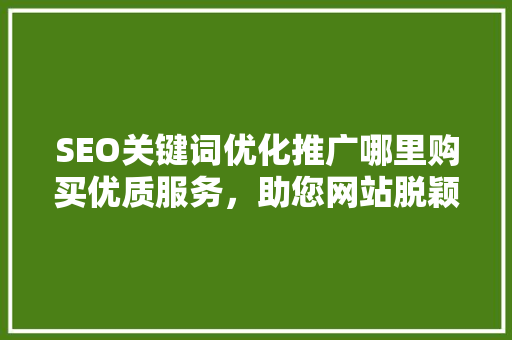 SEO关键词优化推广哪里购买优质服务，助您网站脱颖而出